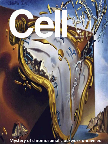 Cell Publication Cover